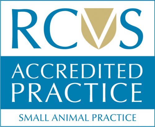 Cameron & Greig Veterinary Surgeons |Photo Gallery | RCVS Accredited Small animal practice